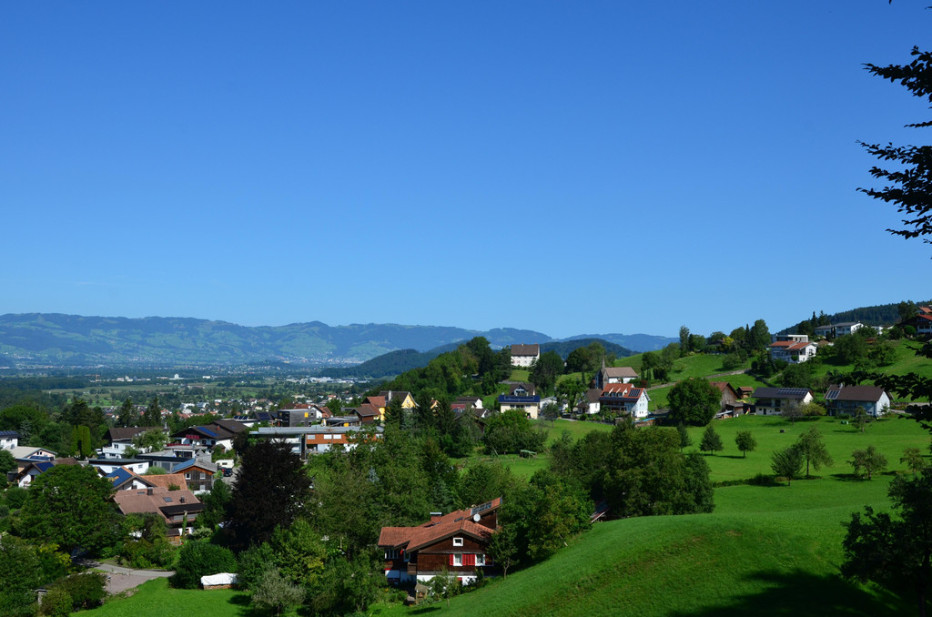 Natur 110819_8.JPG