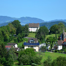 Natur 110819_9.JPG