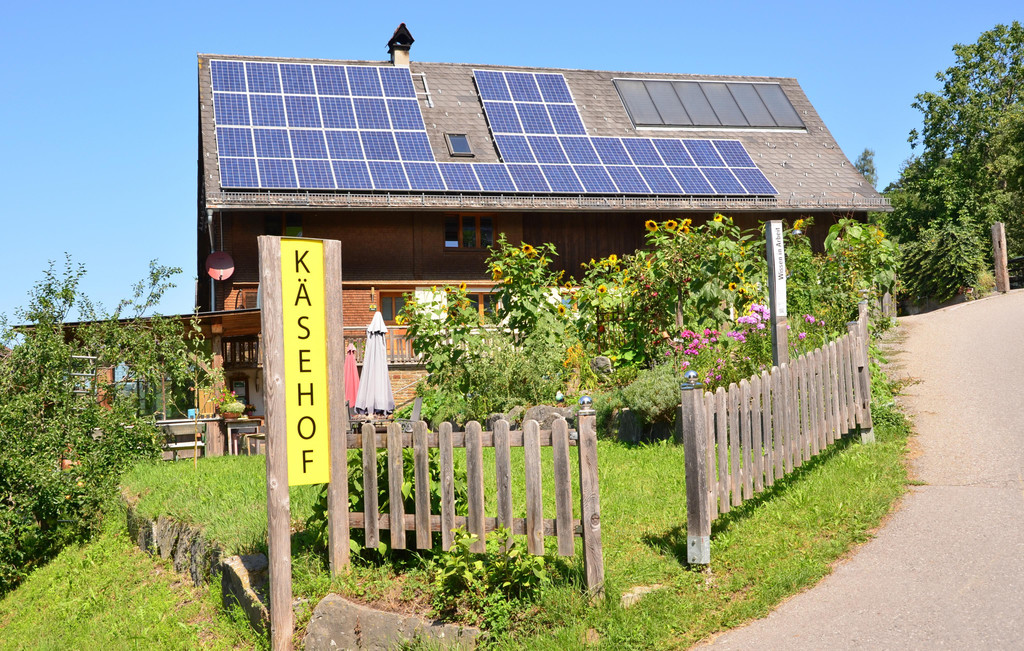 Natur 110819_36.JPG