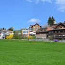 Natur 160419_1.JPG