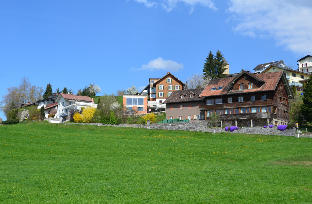 Natur 160419_1.JPG