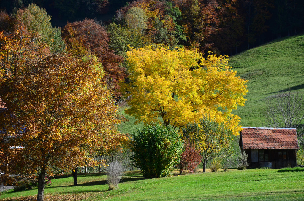 Natur 191017_16.JPG