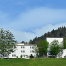 Natur 230419_7.JPG