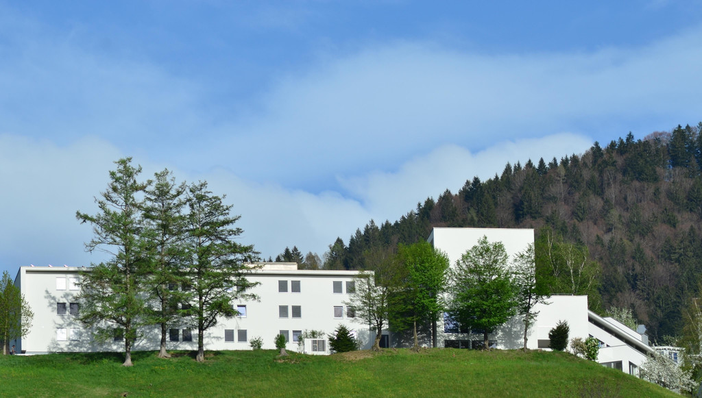 Natur 230419_7.JPG