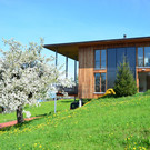 Natur 240418_1.JPG