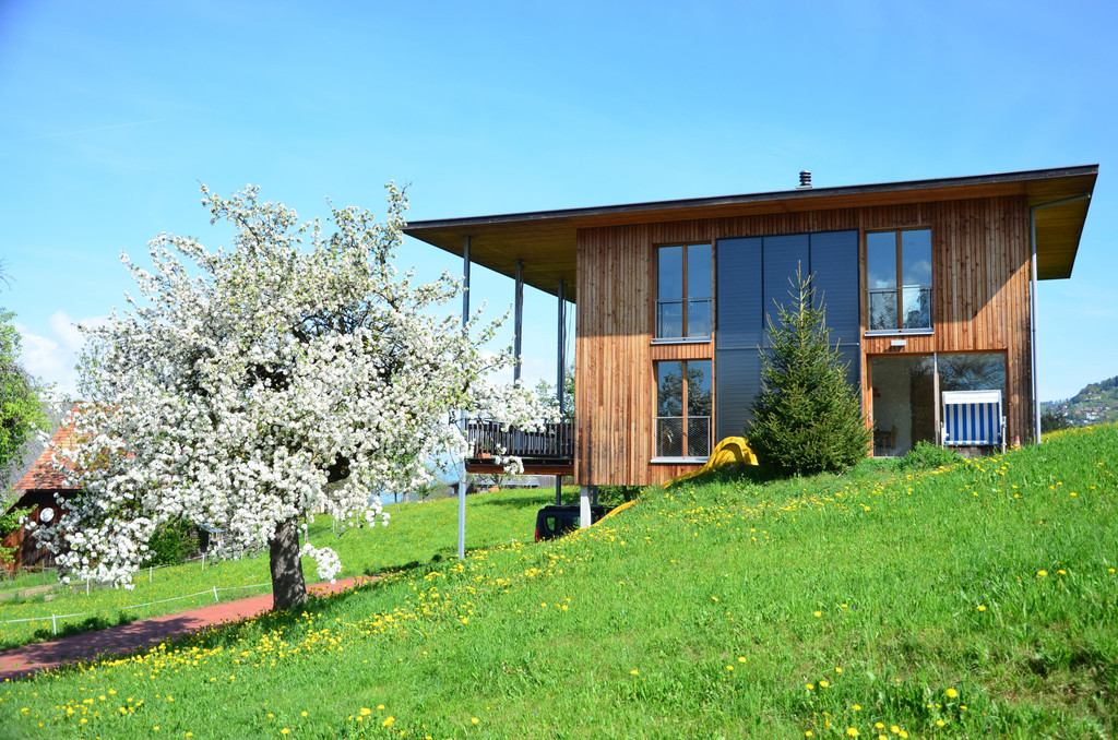 Natur 240418_1.JPG