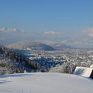 Winter 040219_5.JPG
