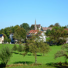 zw 2509_3.JPG