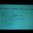 Krankenpflegeverein GV D Vortrag Elmar Simma 06-03-2020 _6_.JPG