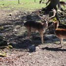 IMG_9362.JPG