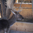 IMG_9372.JPG