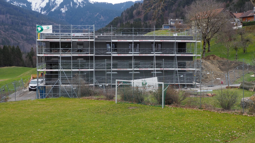 P3141946.JPG