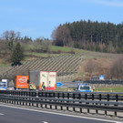 IMG_9751.JPG