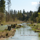 an der kleinen Ill.jpg