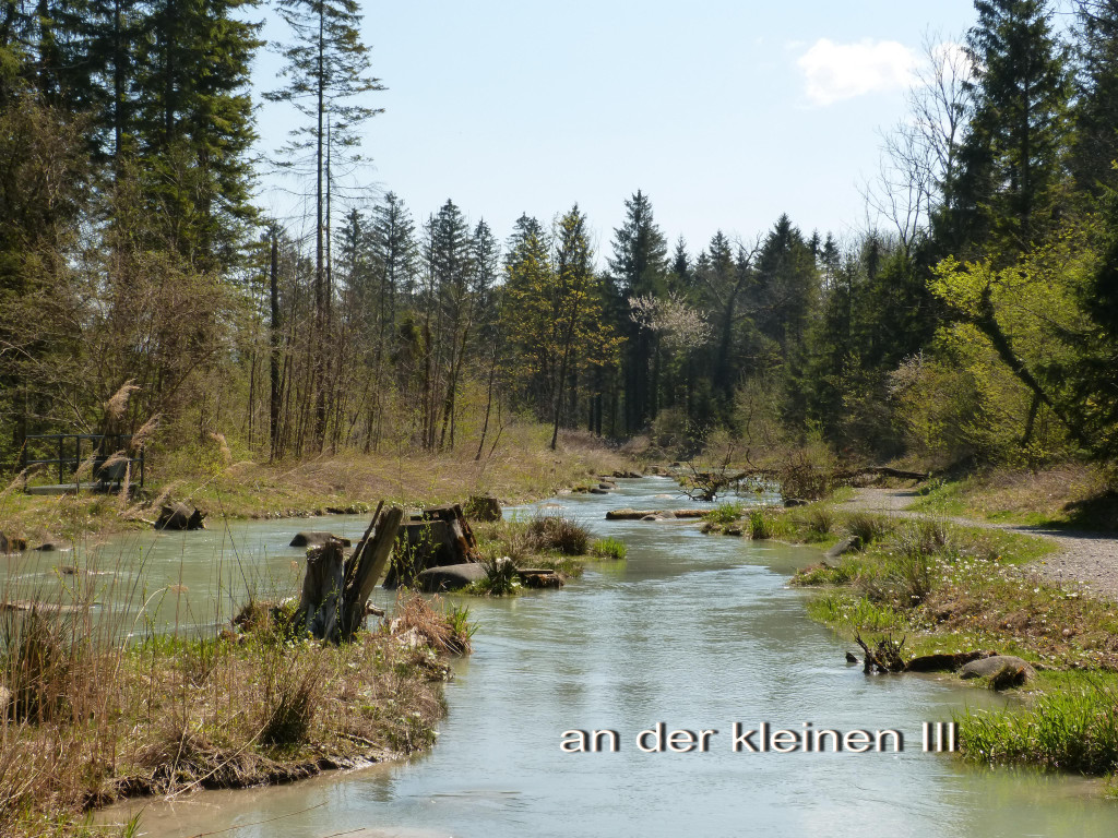 an der kleinen Ill.jpg