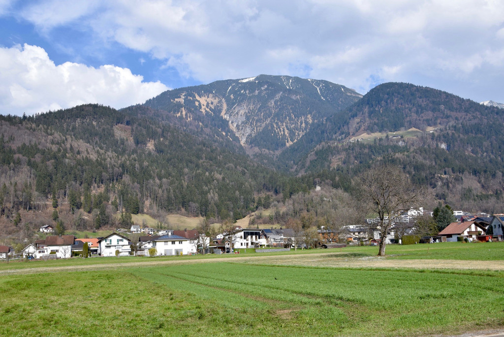 DSC_0323.jpg