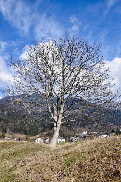 DSC_0330.jpg