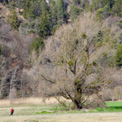 DSC_0337.jpg