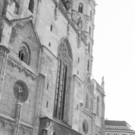Coronavirus Pandemie in Wien _53 von 76_.jpg
