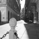 Coronavirus Pandemie in Wien _62 von 76_.jpg