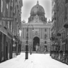 Coronavirus Pandemie in Wien _75 von 76_.jpg