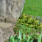 Natur 230320_4.JPG