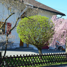 Natur 230320_6.JPG