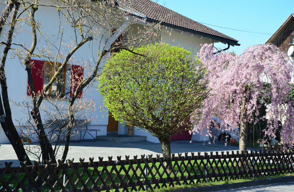 Natur 230320_6.JPG