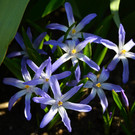 Natur 230320_8.JPG