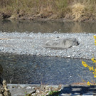 Natur 230320_13.JPG