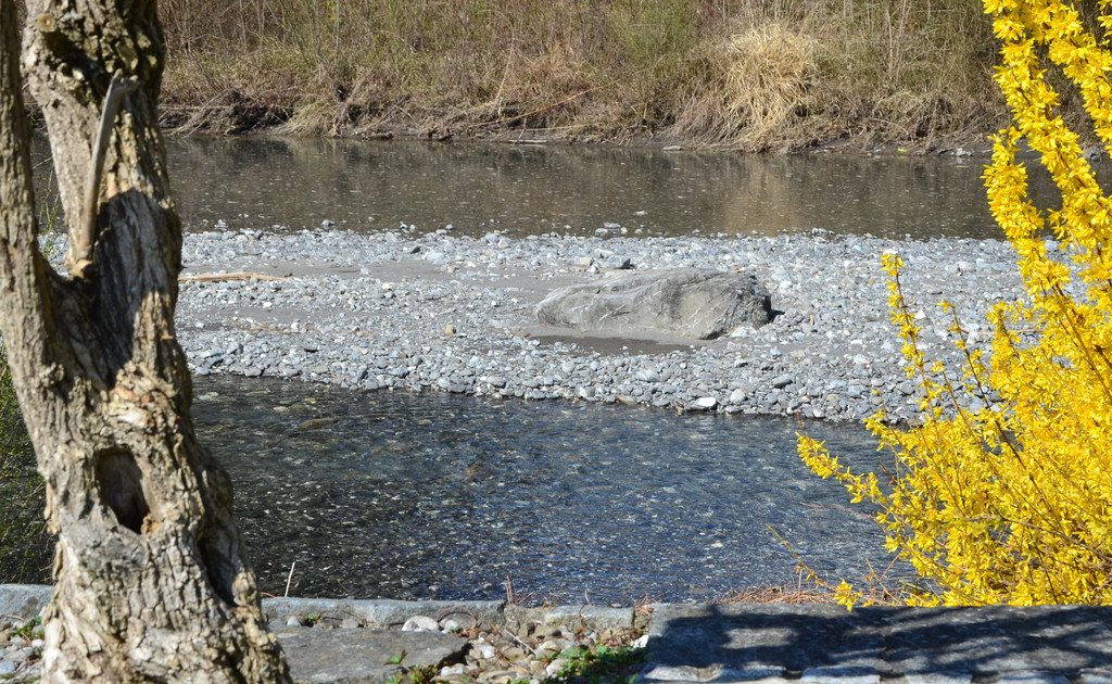 Natur 230320_13.JPG