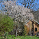 Natur 230320_14.JPG