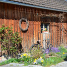 Natur 230320_16.JPG