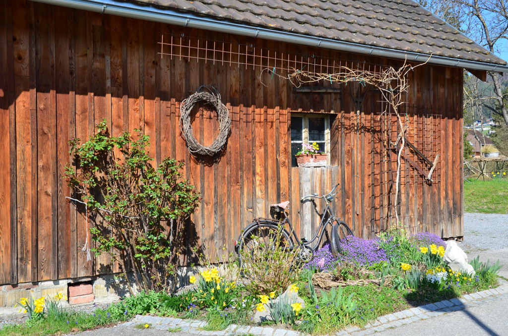 Natur 230320_16.JPG