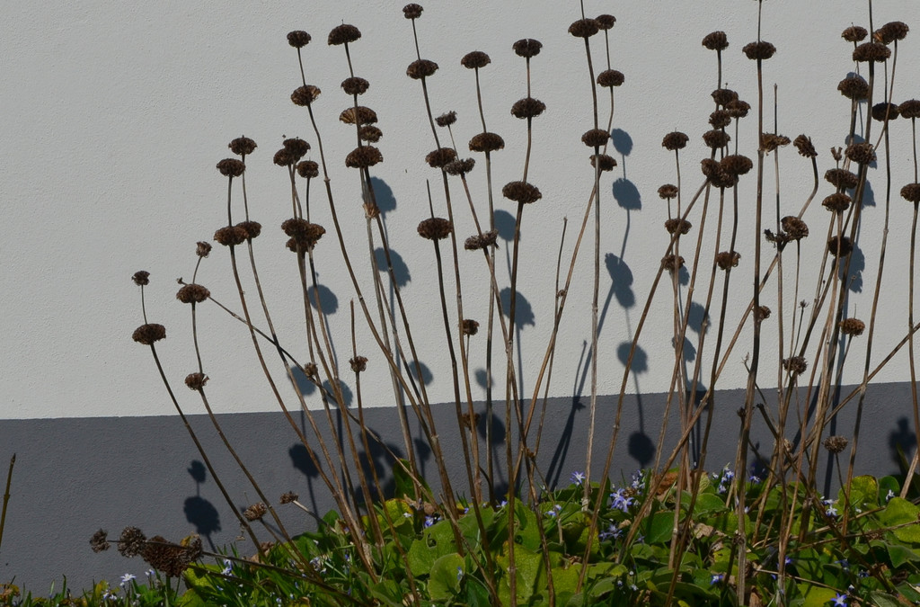 Natur 230320_18.JPG