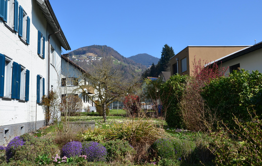 Natur 230320_19.JPG