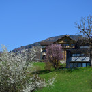 Natur 230320_20.JPG