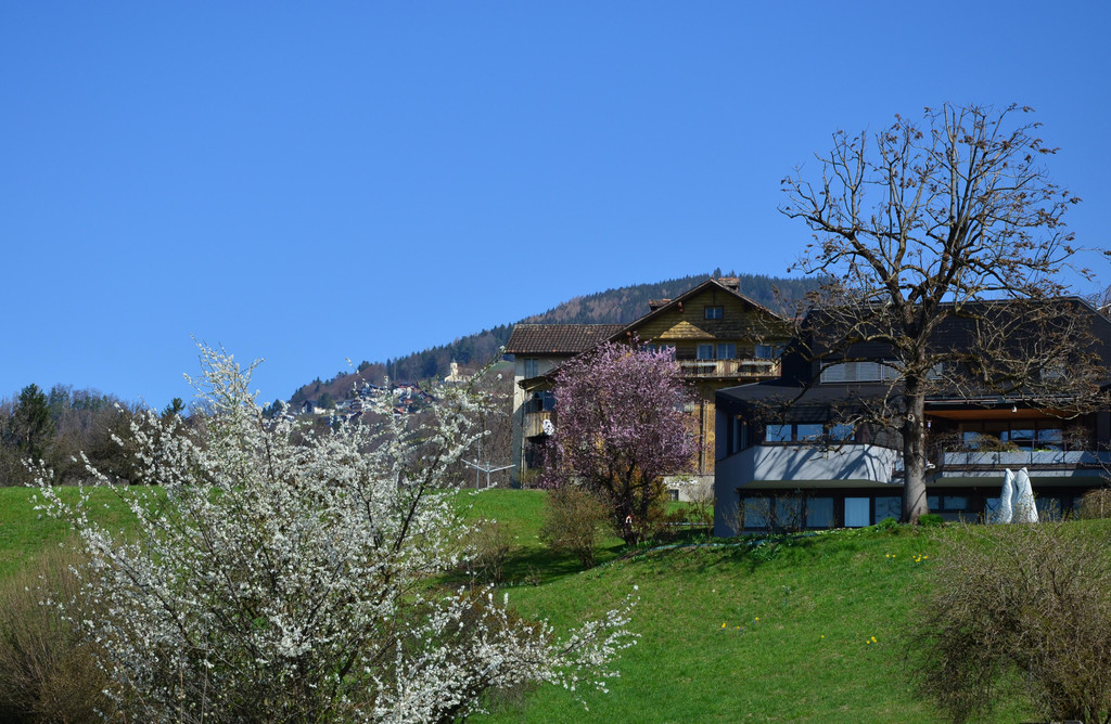 Natur 230320_20.JPG