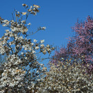 Natur 230320_26.JPG