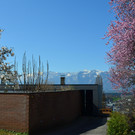 Natur 230320_28.JPG