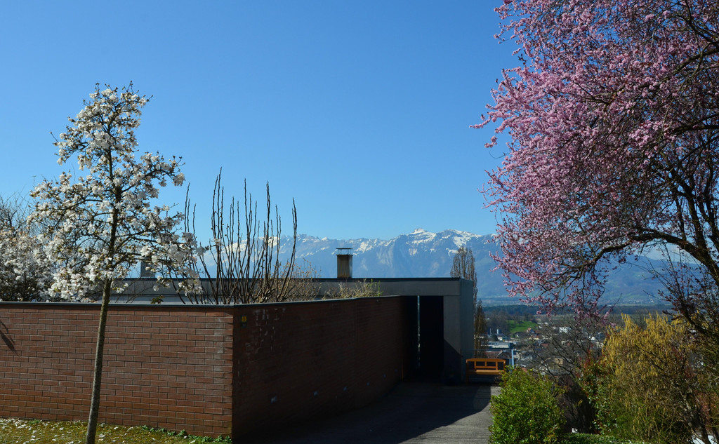 Natur 230320_28.JPG