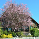 Natur 230320_32.JPG