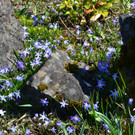 Natur 230320_36.JPG