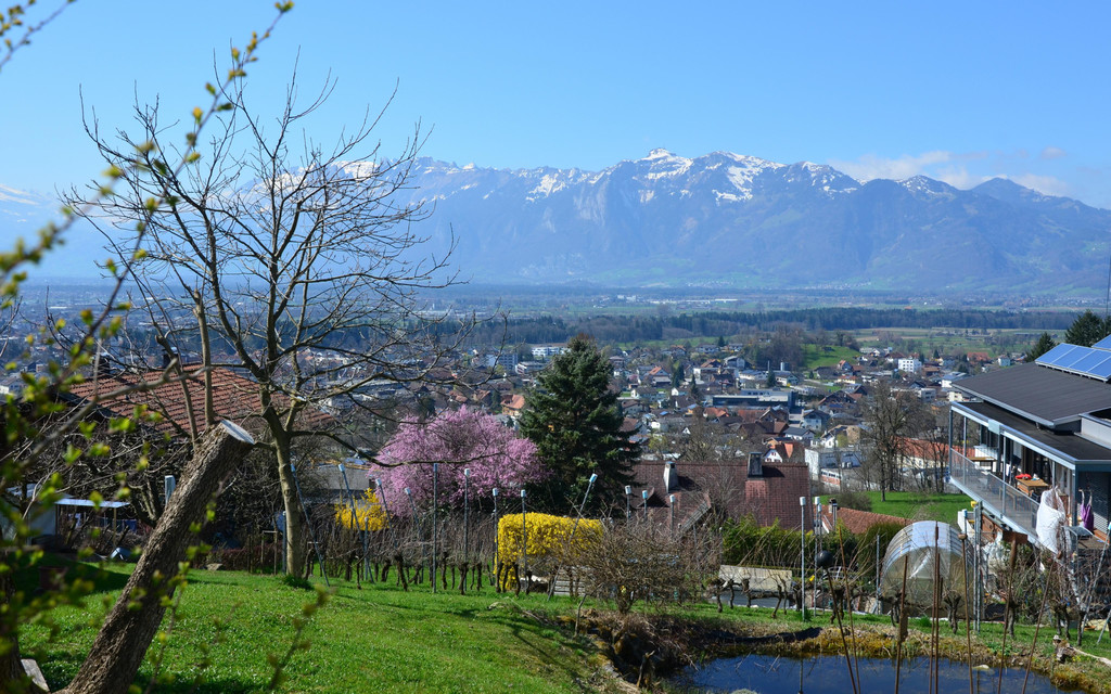Natur 230320_37.JPG
