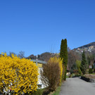 Natur 230320_38.JPG