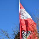Natur 230320_39.JPG