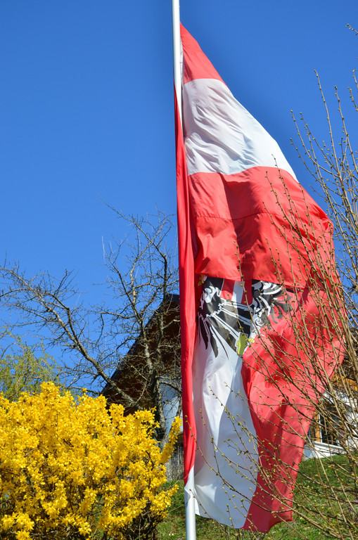 Natur 230320_39.JPG