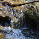Natur 230320_40.JPG