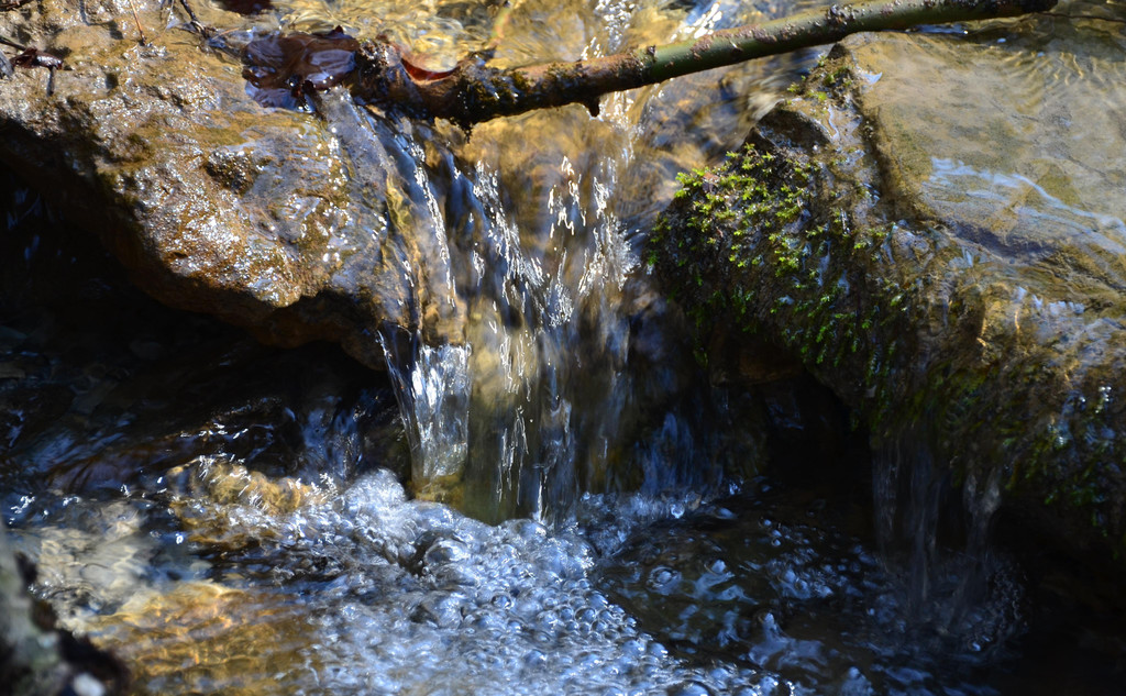 Natur 230320_40.JPG