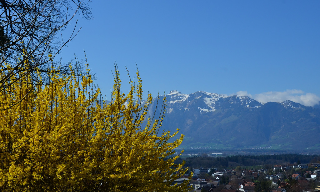 Natur 230320_43.JPG